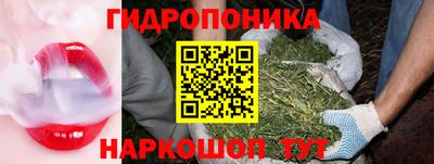 spice Можга